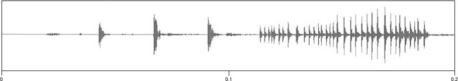 waveform