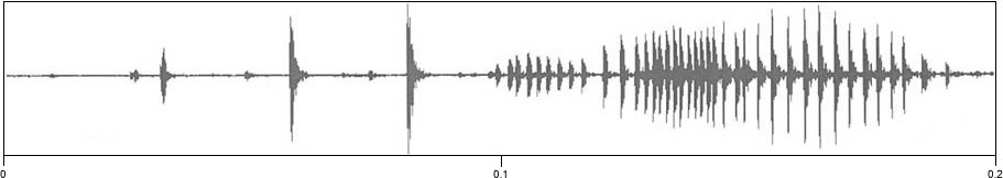 waveform