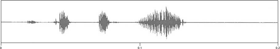 waveform