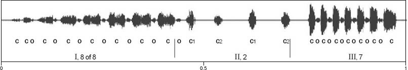 image of expanded waveform for Amblycorypha uhleri