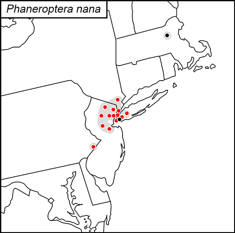 distribution map for Phaneroptera nana