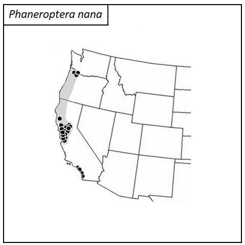 distribution map for Phaneroptera nana