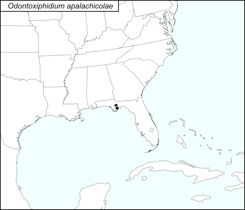 distribution map for Odontoxiphidium apalachicolae