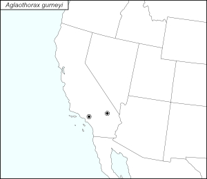 icon map for aglaothorax gurneyi