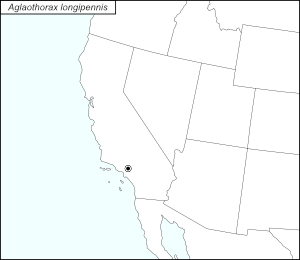 icon map for aglaothorax longipennis
