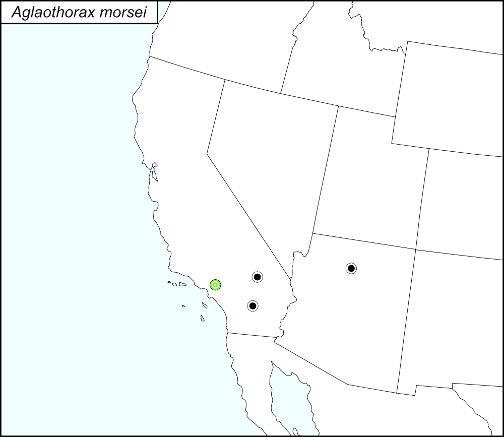 distribution map for Aglaothorax morsei