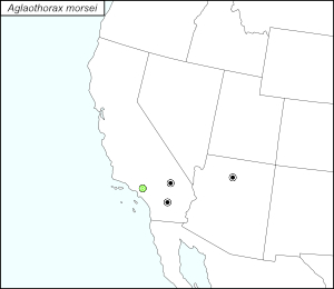 icon map for aglaothorax morsei