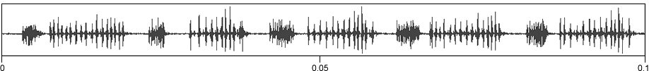 image of expanded spectrogram for Neoconocephalus palustris