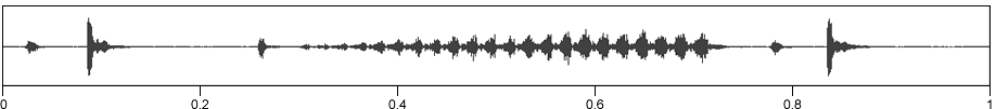 image of expanded waveform for Orchelimum erythrocephalum