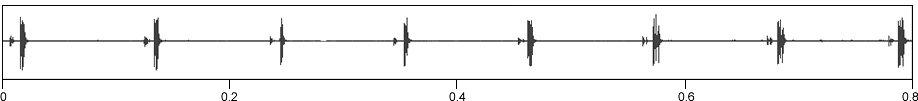 image of expanded spectrogram for Cyphoderris buckelli