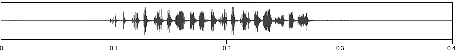 image of expanded waveform for Orchelimum carinatum