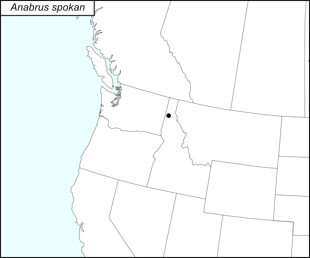 distribution map for Anabrus spokan