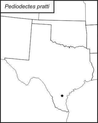 distribution map for Pediodectes pratti