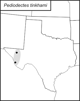 distribution map for Pediodectes tinkhami