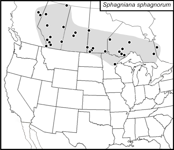 distribution map for Sphagniana sphagnorum