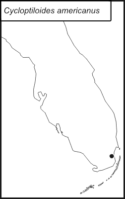 distribution map for Cycloptiloides americanus