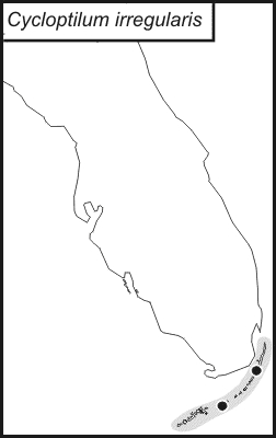 distribution map for Cycloptilum irregularis