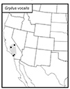 SINA map for Gryllus vocalis