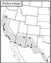 SINA map for Gryllus 