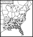 SINA map for Gryllus rubens