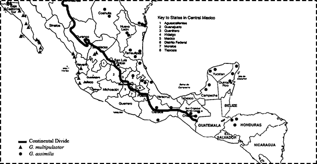 distribution map for Gryllus assimilis