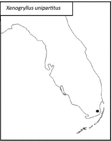 distribution map for Xenogryllus unipartitus