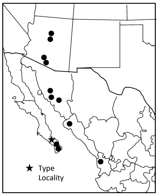 distribution map from Weissman and Gray 2019 for Gryllus cohni