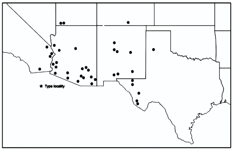 distribution map from Weissman and Gray 2019 for Gryllus longicercus