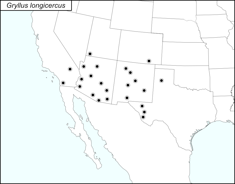 distribution map for Gryllus longicercus