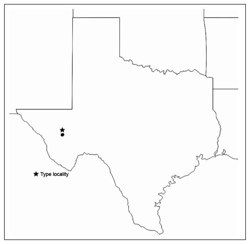 distribution map from Weissman and Gray 2019 for Gryllus planeta