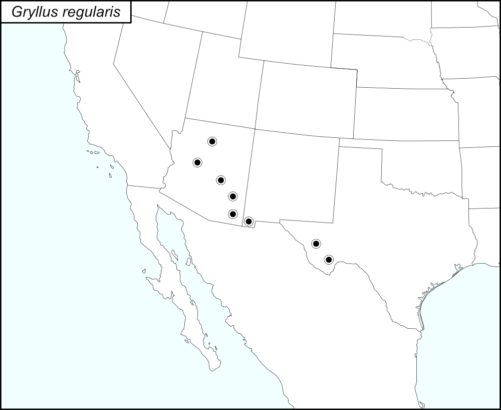 distribution map for Gryllus regularis