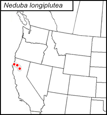 distribution map for Neduba longiplutea