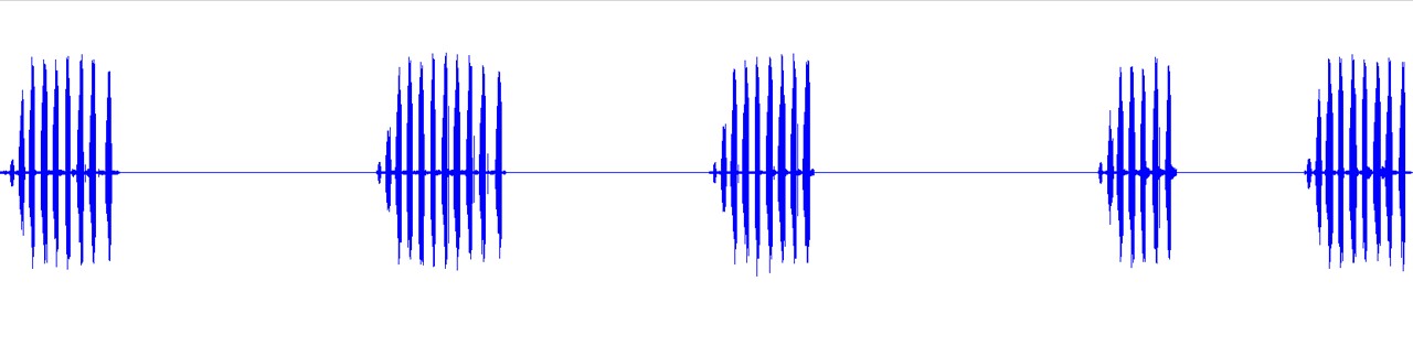 waveform for Aglaothorax amathitis