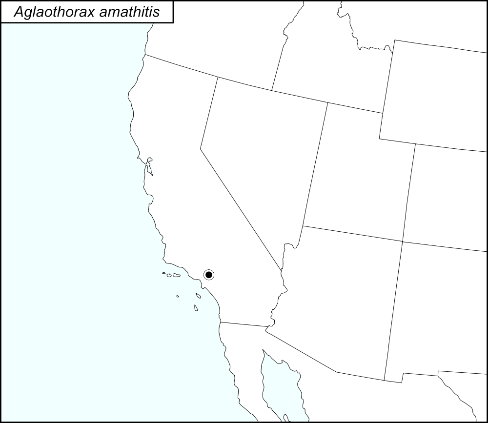 distribution map for Aglaothorax amathitis