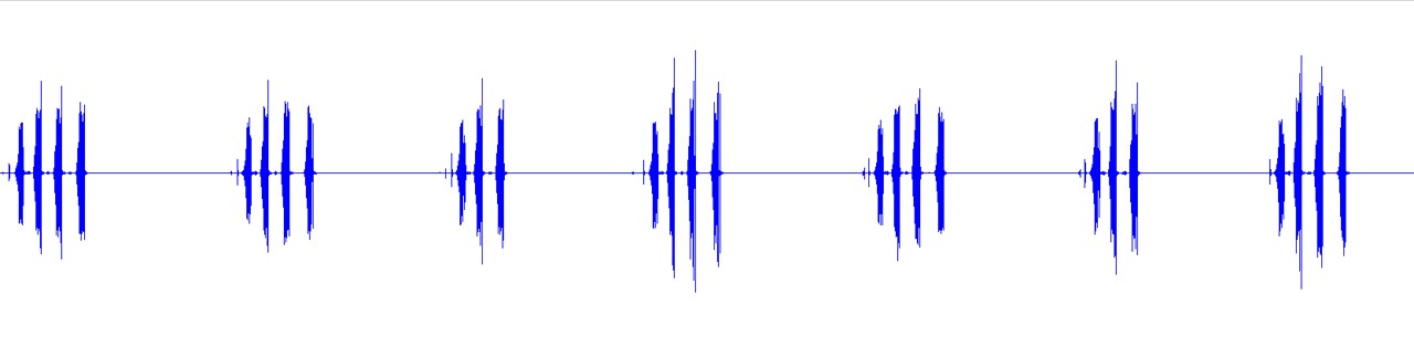 waveform for Aglaothorax armiger