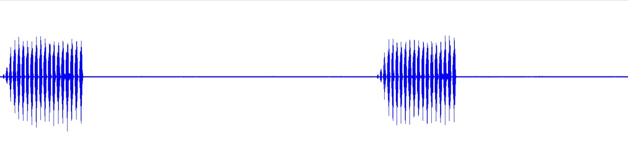 waveform for Aglaothorax costalis
