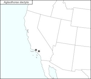 icon map for aglaothorax dactyla