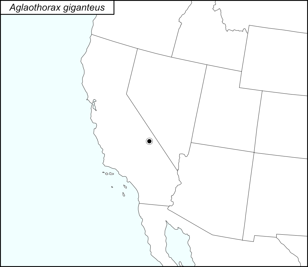 distribution map for Aglaothorax giganteus
