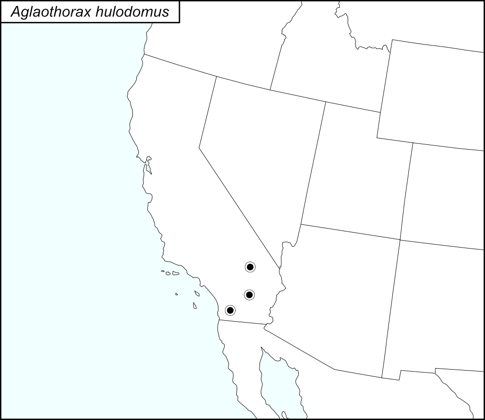 distribution map for Aglaothorax hulodomus