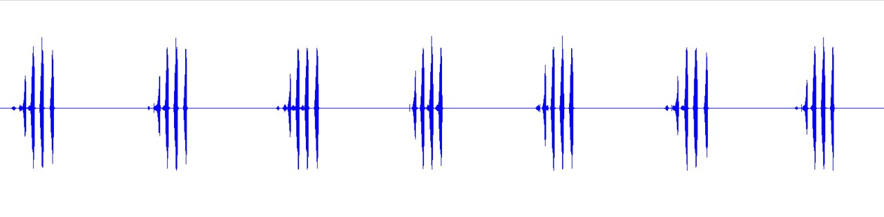 waveform for Aglaothorax khioneos