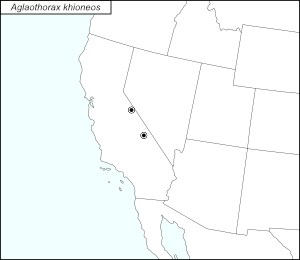 icon map for aglaothorax khioneos
