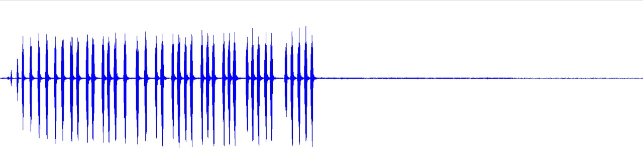 waveform for Aglaothorax nesiazo