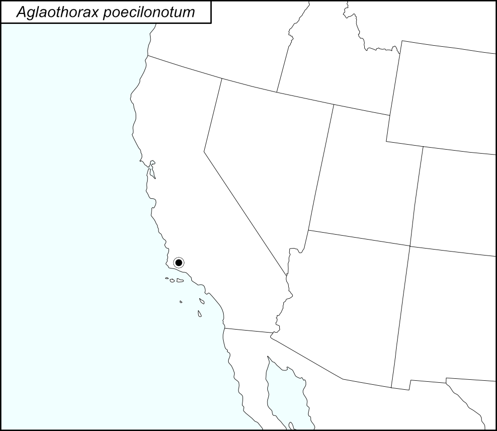distribution map for Aglaothorax poecilonotum