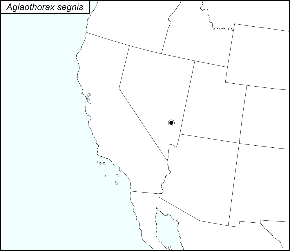 distribution map for Aglaothorax segnis