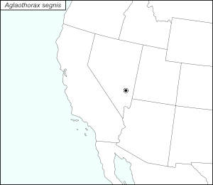 icon map for aglaothorax segnis