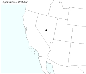 icon map for aglaothorax srobilion