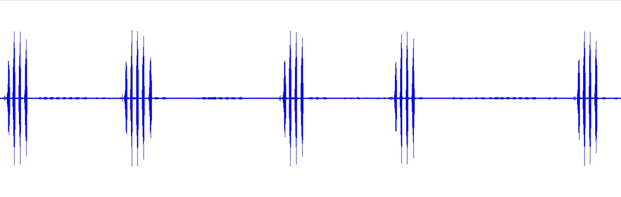 waveform for Aglaothorax tinkhamorum