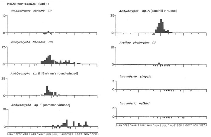 Phaneropterinae 1 seasonal graphs