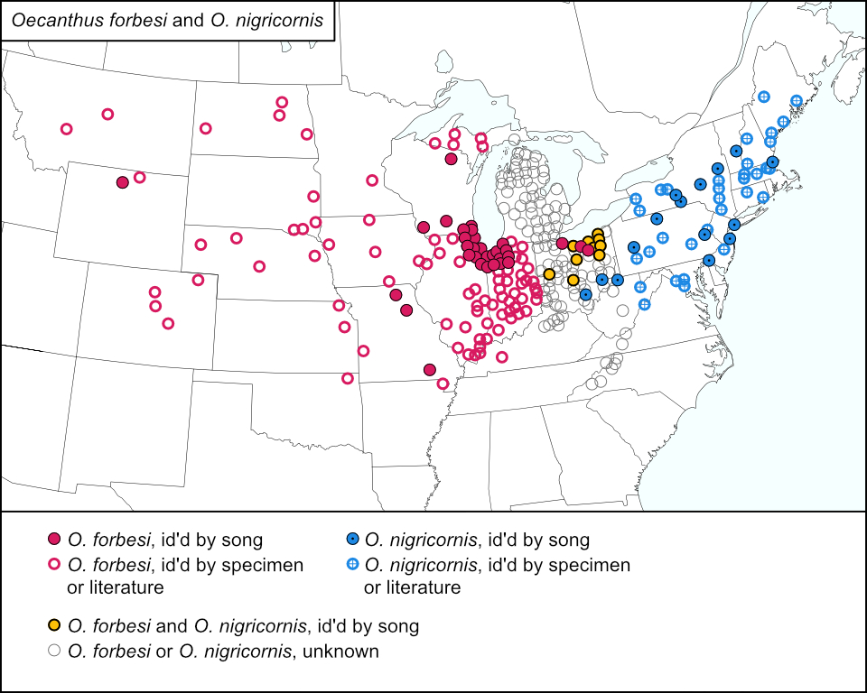 distribution map for Oecanthus nigricornis