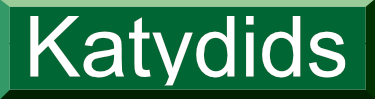 katydids